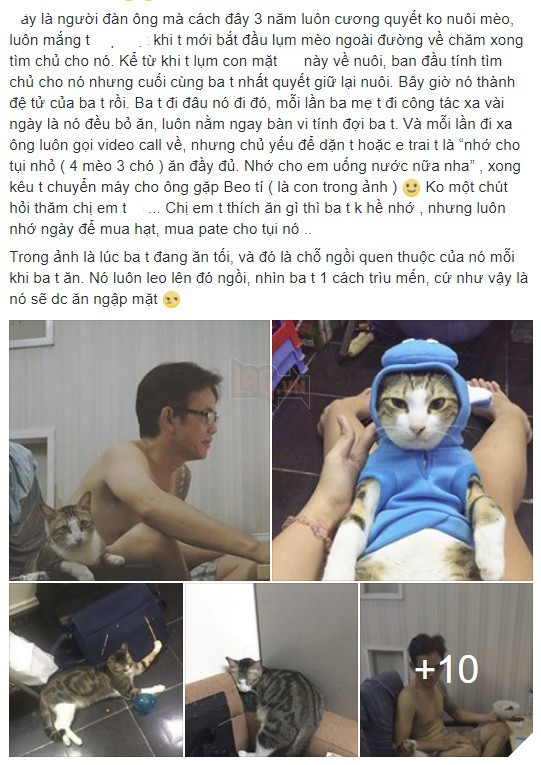 Đơn tố cáo của cô gái trẻ sau khi bị 4 con mèo và 3 con chó chiếm mất bố - Ảnh 1. Đơn tố cáo của cô gái trẻ sau khi bị 4 con mèo và 3 con chó chiếm mất bố - Ảnh 1.