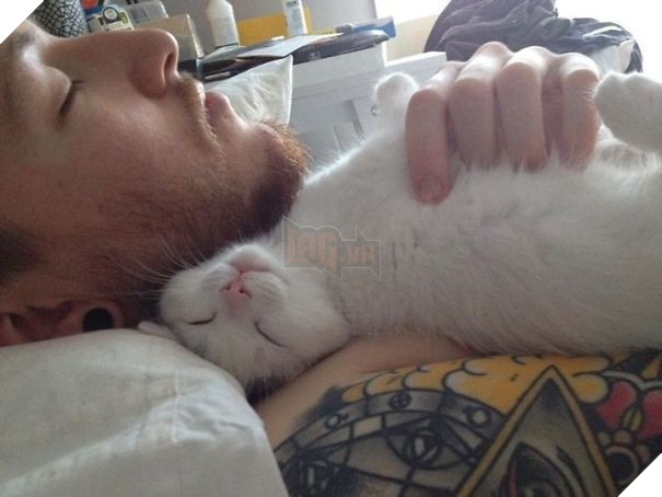 16 boss trơ trẽn đã cướp chồng của sen rồi lại còn tỏ thái độ thách thức - Ảnh 5.