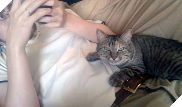 16 boss trơ trẽn đã cướp chồng của sen rồi lại còn tỏ thái độ thách thức - Ảnh 17.