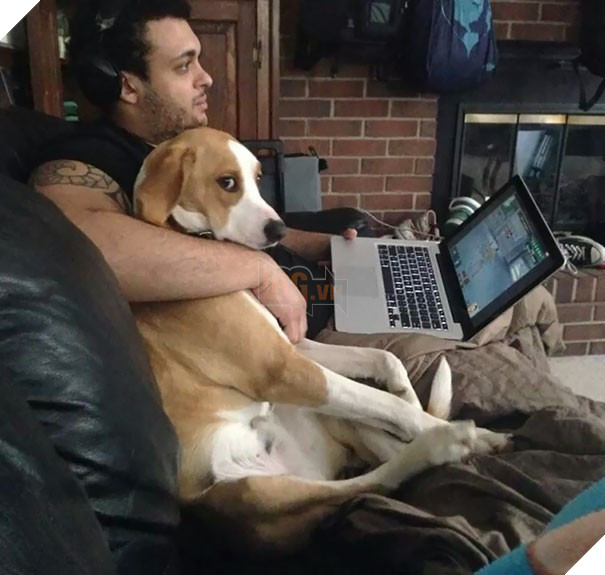 16 boss trơ trẽn đã cướp chồng của sen rồi lại còn tỏ thái độ thách thức - Ảnh 19.