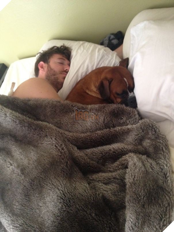 16 boss trơ trẽn đã cướp chồng của sen rồi lại còn tỏ thái độ thách thức - Ảnh 23.