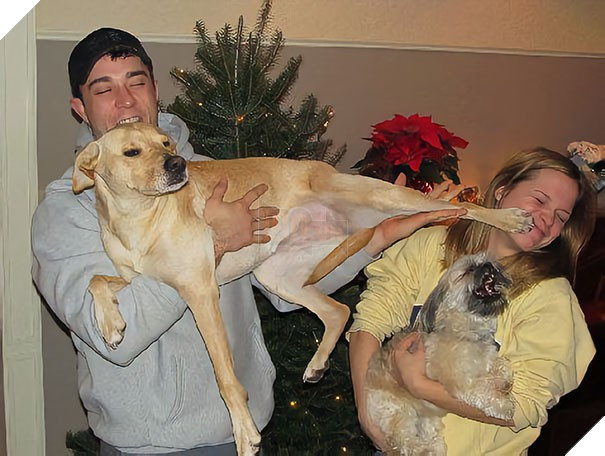 16 Boss dám cướp chồng của Sen nhưng vẫn không quên làm vẻ mặt thách thức