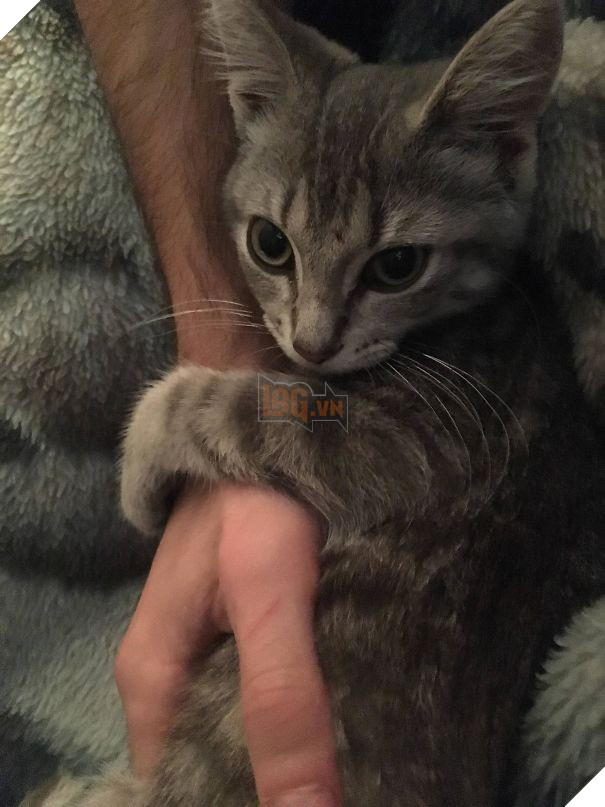 16 boss trơ trẽn đã cướp chồng của sen rồi lại còn tỏ thái độ thách thức - Ảnh 31.