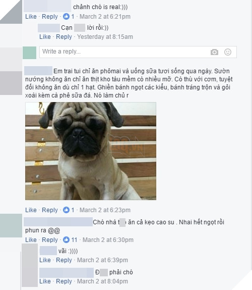 
Không ít người dùng mạng tỏ ra cảm thông với chủ nhân bài viết và chia sẻ câu chuyện riêng của mình.