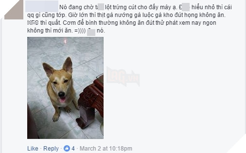 
"Boss" này thì đang chờ "sen" lột trứng cút cho ăn.