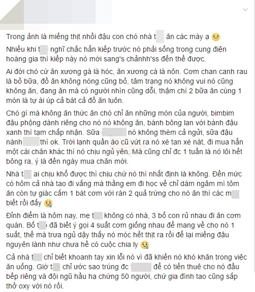 Chú chó bất ngờ nổi tiếng vì lối sống “sang chảnh” hơn cả người