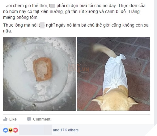 Chú chó bất ngờ nổi tiếng vì lối sống “sang chảnh” hơn cả người