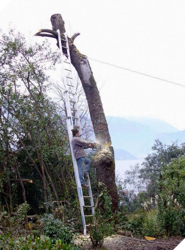 14 lý do khiến đàn ông không thể bất tử được như phụ nữ - Ảnh 25.