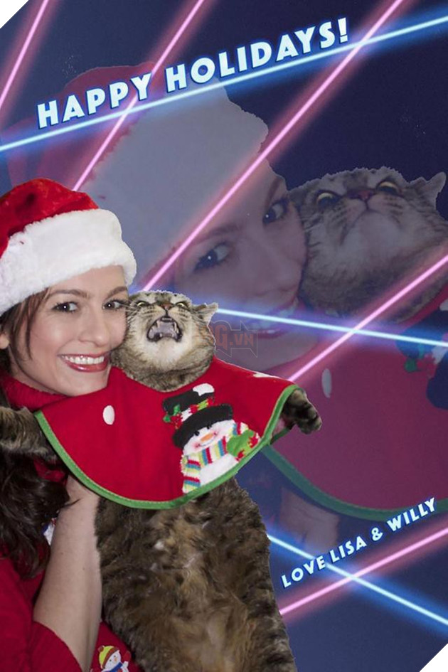 18 khuôn mặt chán đến tận cổ của động vật khi mùa Giáng Sinh đến - Ảnh 29.