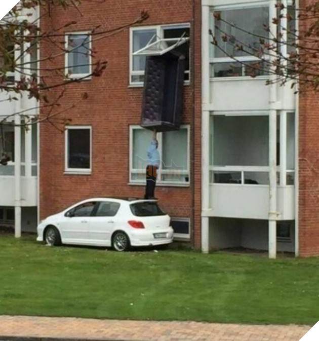 14 lý do khiến đàn ông không thể bất tử được như phụ nữ - Ảnh 5.