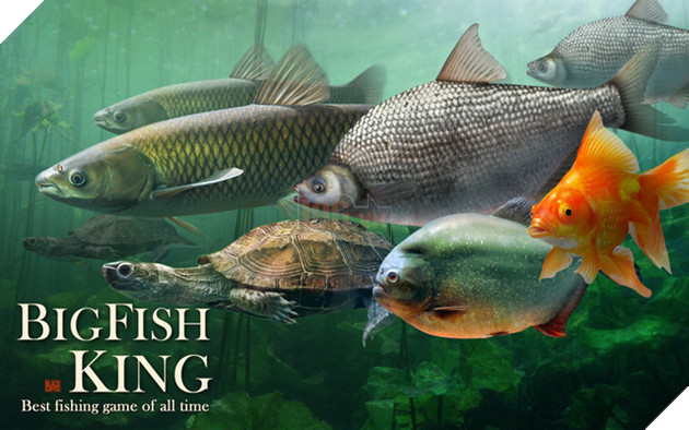 Big Fish King - Game "câu cá như thật" chính thức ra mắt trên Android