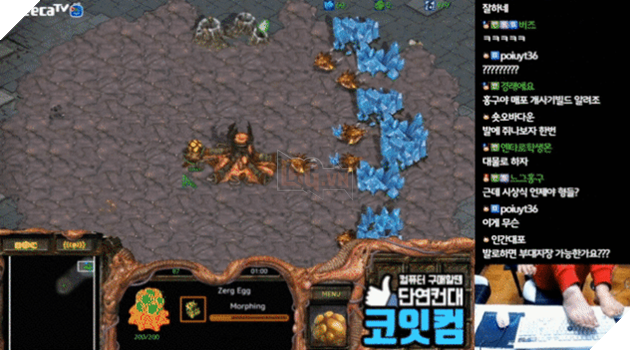 
Trong buổi stream gần đây, Larva tiếp tục phô diễn tài năng chơi Starcraft bằng chân của mình
