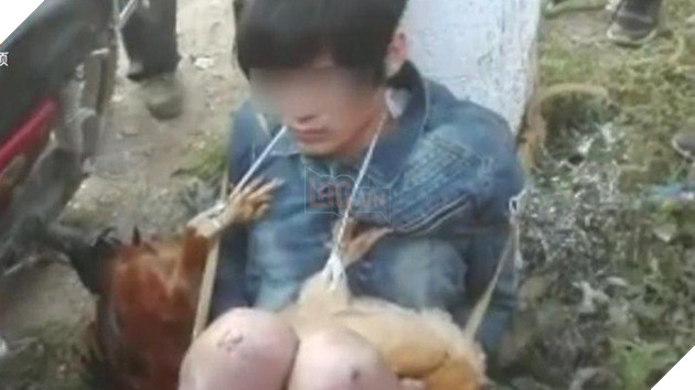 
Sau khi chiến thắng, 2 nam thanh niên Trung Quốc đi trộm gà để ăn mừng
