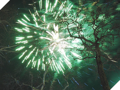 Cách chụp ảnh pháo hoa bằng máy ảnh trên smartphone 4