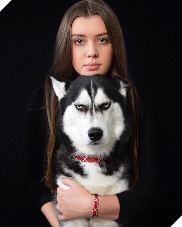 Gặp gỡ chú chó có khuôn mặt cau có nhất mùa Giáng Sinh - Ảnh 5.