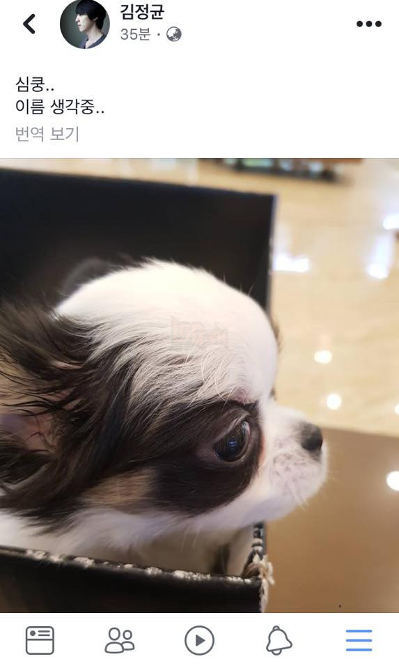 Sau tất cả, cuối cùng thì Kkoma cũng hé lộ cô "công chúa" của cuộc đời mình, nhưng fan SKT T1 vẫn lo