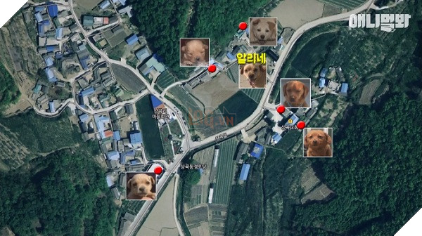 Sơ đồ những gia đình nhỏ của Ali