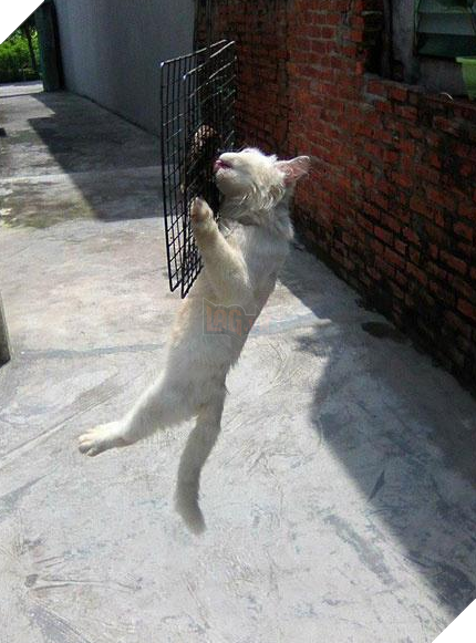 .toutiao.com