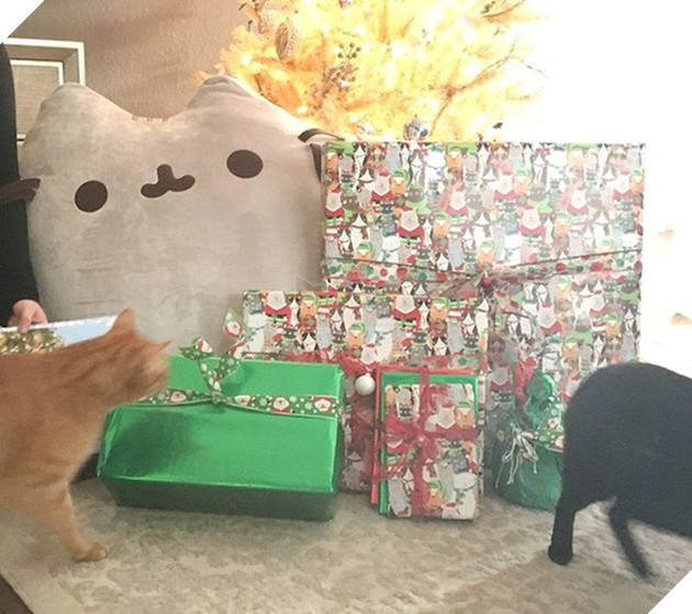 Bill Gates tiếp tục làm ông già Noel bí mật, khiến một nữ Redditor vỡ òa vì hạnh phúc - Ảnh 3.