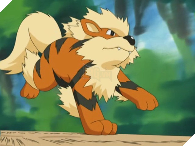 Điểm danh 10 Pokemon thuộc thế hệ 1 được yêu thích nhất