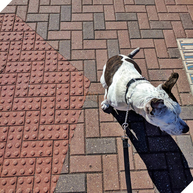 17 khoảnh khắc xuất sắc khiến các tín đồ hoàn hảo chẳng thể rời mắt - Ảnh 5.