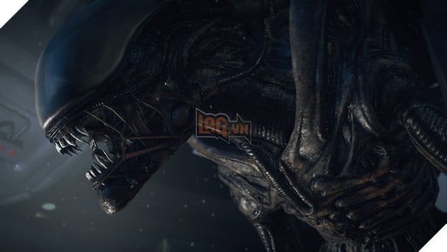 Alien và Predator: Số phận mù mịt của hai kẻ săn mồi trong tay chuột nhắt