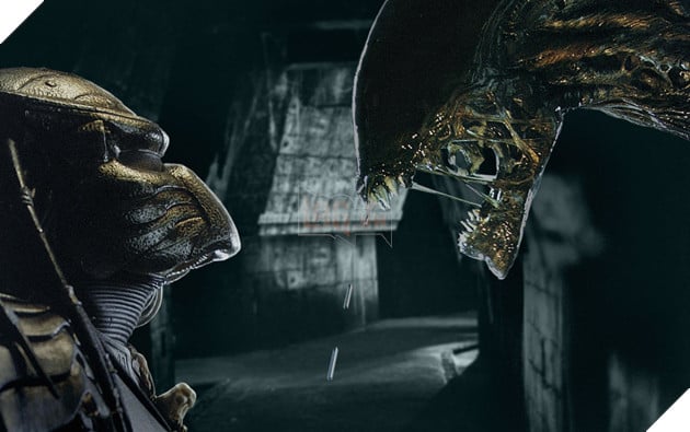 Alien và Predator: Số phận mù mịt của hai kẻ săn mồi trong tay chuột nhắt