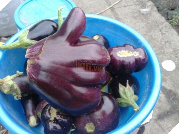 14 thứ may mắn khiến bạn chợt cảm thấy mình thật hên trong dịp đầu năm - Ảnh 5.