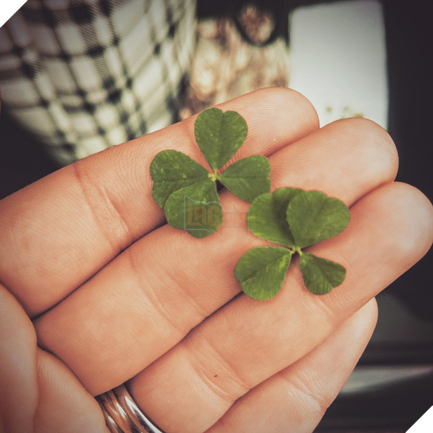 14 thứ may mắn khiến bạn chợt cảm thấy mình thật hên trong dịp đầu năm - Ảnh 1.