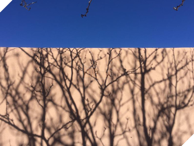 16 ảo giác thị giác khiến người xem cứ ngỡ mình đang bị lú lẫn - Ảnh 11.