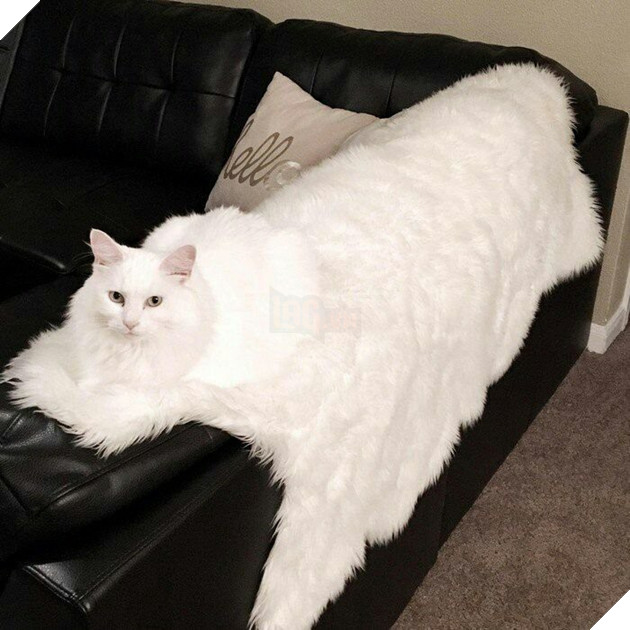 16 ảo giác thị giác khiến người xem cứ ngỡ mình đang bị lú lẫn - Ảnh 21.