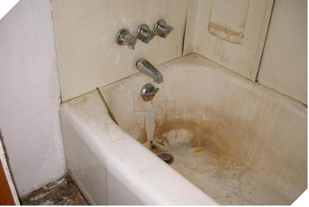 Bức hình cho thấy điện thoại bạn bẩn như thế nào và tần suất vệ sinh vật dụng bạn vẫn dùng hàng ngày - Ảnh 5.