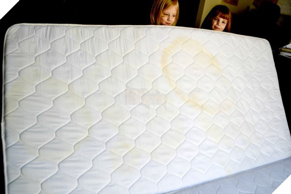 Bức hình cho thấy điện thoại bạn bẩn như thế nào và tần suất vệ sinh vật dụng bạn vẫn dùng hàng ngày - Ảnh 8.