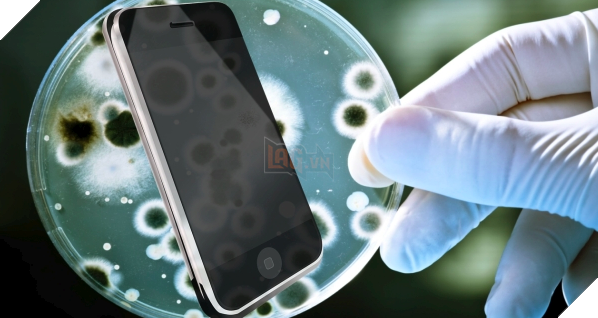 Bức hình cho thấy điện thoại bạn bẩn như thế nào và tần suất vệ sinh vật dụng bạn vẫn dùng hàng ngày - Ảnh 1.