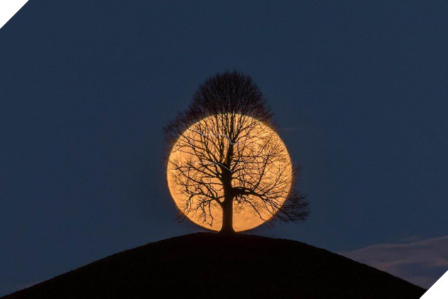 Chiêm ngưỡng 18 khung cảnh tuy thật mà còn vi diệu hơn cả photoshop - Ảnh 1.