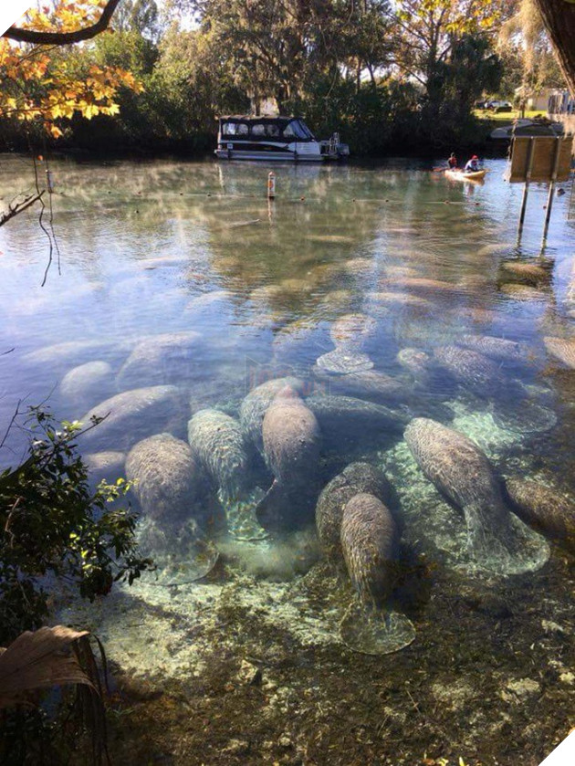 Chiêm ngưỡng 18 khung cảnh tuy thật mà còn vi diệu hơn cả photoshop - Ảnh 21.