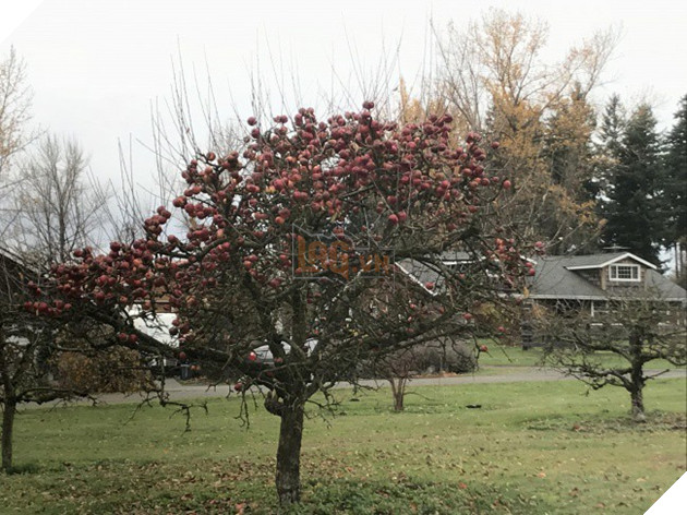 Chiêm ngưỡng 18 khung cảnh tuy thật mà còn vi diệu hơn cả photoshop - Ảnh 29.