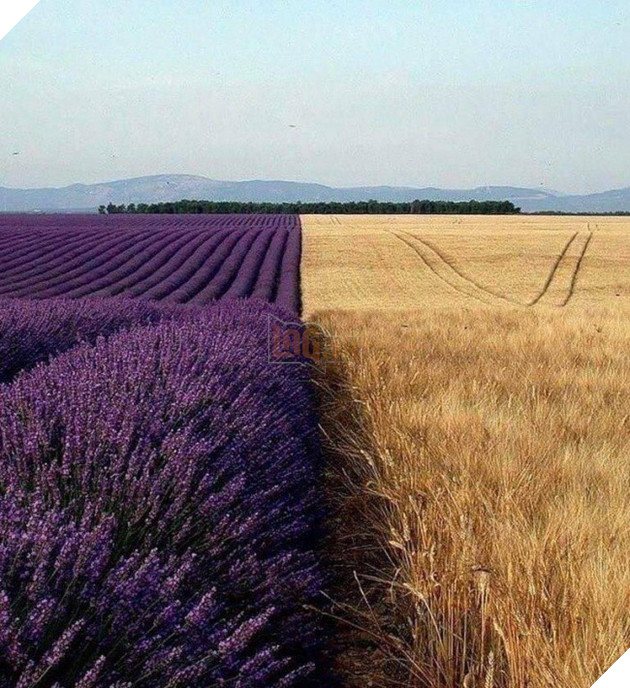 Chiêm ngưỡng 18 khung cảnh tuy thật mà còn vi diệu hơn cả photoshop - Ảnh 3.