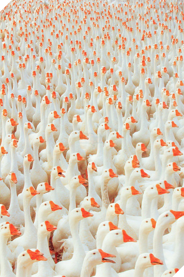 Chiêm ngưỡng 18 khung cảnh tuy thật mà còn vi diệu hơn cả photoshop - Ảnh 15.