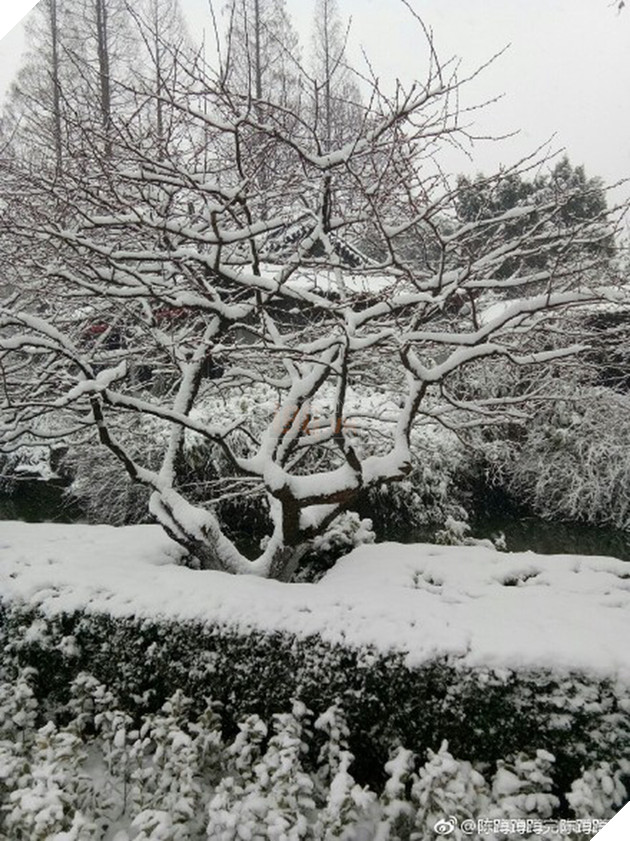 Chưa bao giờ nh&#236;n tuyết rơi m&#224; người h&#226;m mộ lại ng&#225;n ngẩm, thương cho c&#225;c ch&#224;ng trai U23 Việt Nam đến vậy - Ảnh 5.