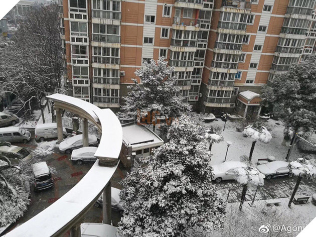 Chưa bao giờ nh&#236;n tuyết rơi m&#224; người h&#226;m mộ lại ng&#225;n ngẩm, thương cho c&#225;c ch&#224;ng trai U23 Việt Nam đến vậy - Ảnh 5.