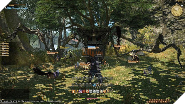 
Phiên bản MMO của Final Fantasy
