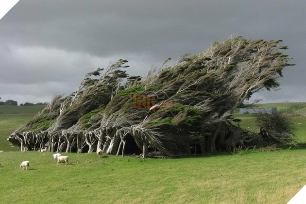 Không phải CGI hay cut-scene trong game kinh dị, những hiện tượng thời tiết này hoàn toàn có thật