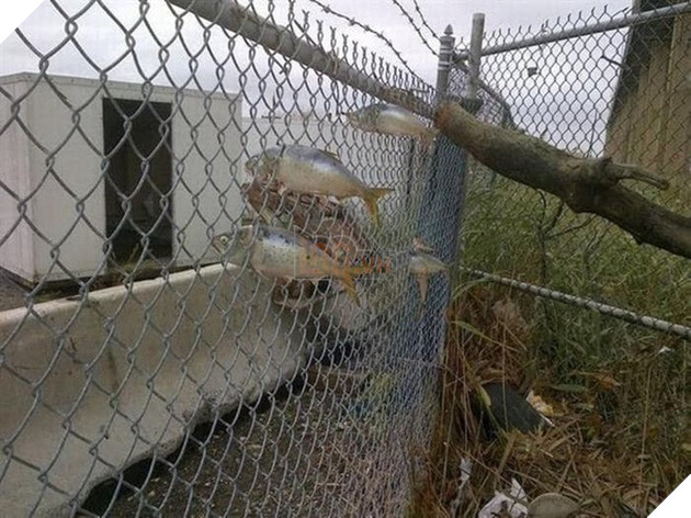 Không phải CGI hay cut-scene trong game kinh dị, những hiện tượng thời tiết này hoàn toàn có thật