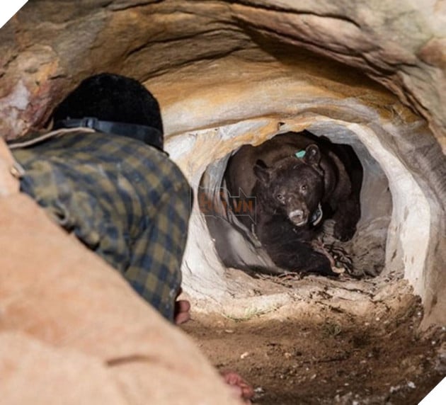 16 khoảnh khắc đen đủi chứng tỏ 30 cũng chưa phải là Tết - Ảnh 21.