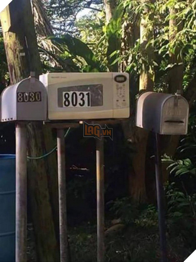 18 thánh sáng tạo xứng đáng đạt giải của năm - Ảnh 25.