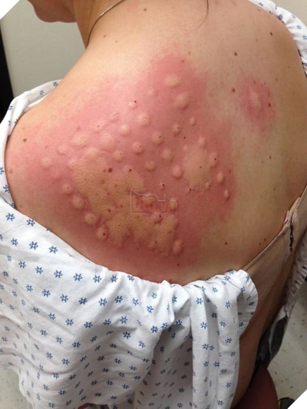 16 khoảnh khắc đen đủi chứng tỏ 30 cũng chưa phải là Tết - Ảnh 17.