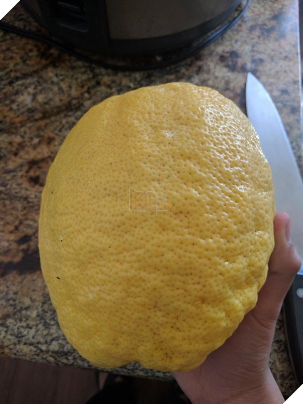 15 món đồ ăn làm bạn thấy thật là đỏ trong dịp đầu năm - Ảnh 19.