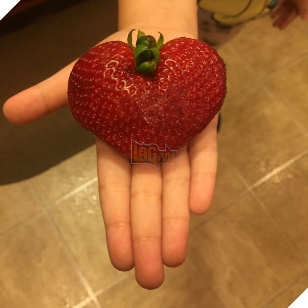 15 món đồ ăn làm bạn thấy thật là đỏ trong dịp đầu năm - Ảnh 25.