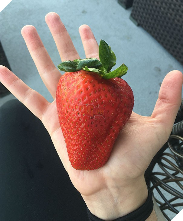 15 món đồ ăn làm bạn thấy thật là đỏ trong dịp đầu năm - Ảnh 23.